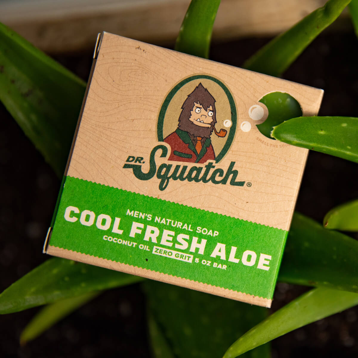 Dr. Squatch Men's Natural Soap Cool Fresh Aloe 5oz Bar – Spa & Lifestyle  Store at Cross Gates