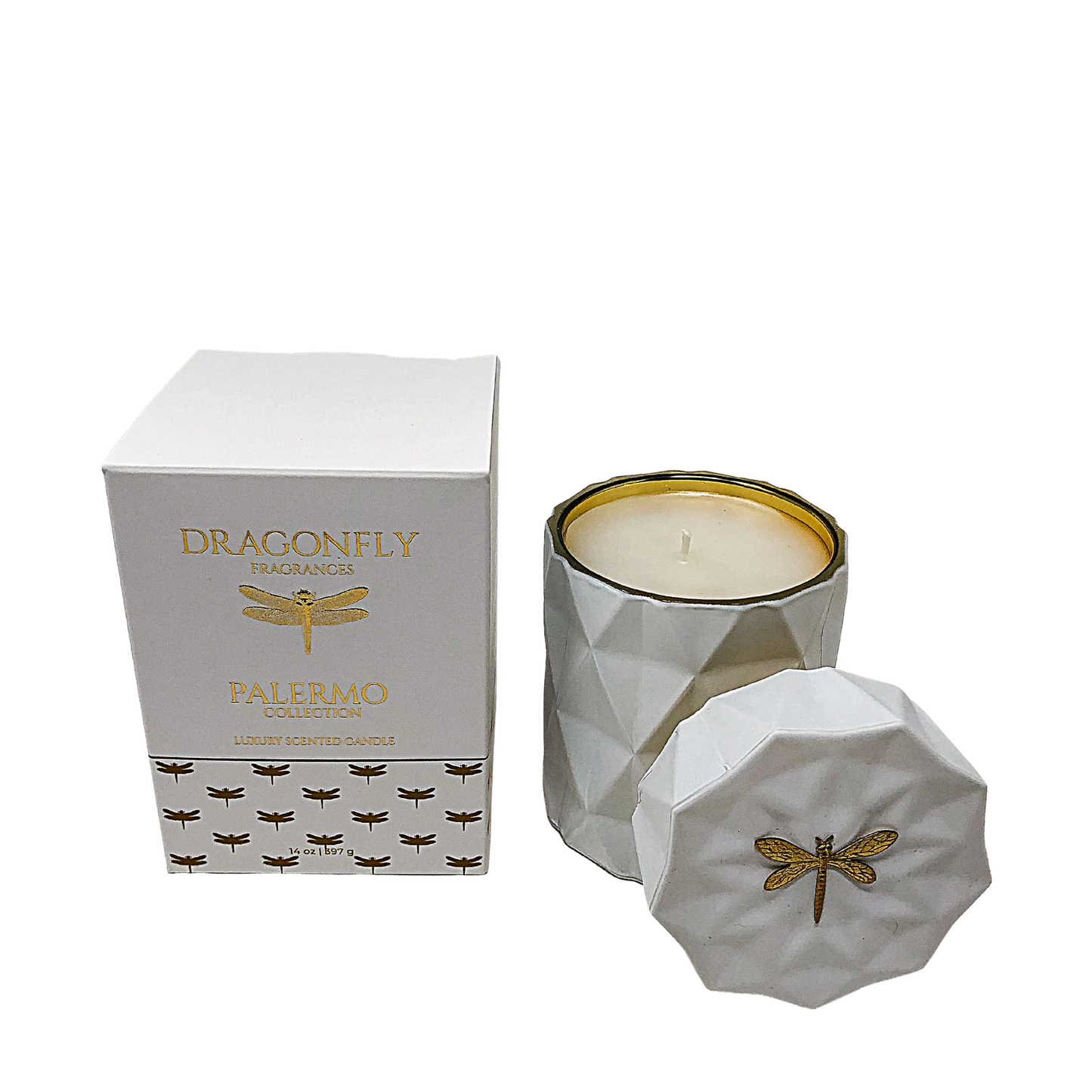 Palermo White Candle Orchid + Dark Rose