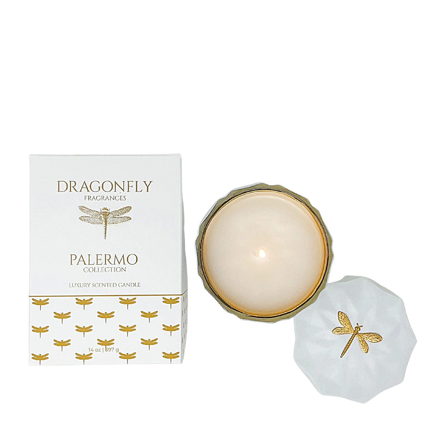 Palermo White Candle Orchid + Dark Rose